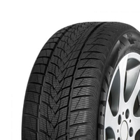 255/50 R20 109V Frostrack UHP XL Minerva